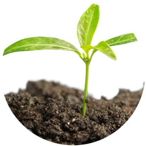 garden rules round icon